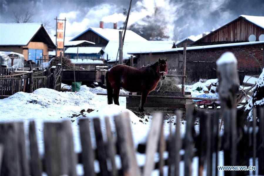 Bello paisaje en la aldea Beiji, ubicada en Mohe, provincia de Heilongjiang, China, 29 de enero del 2018. (Foto: Wang Kai)