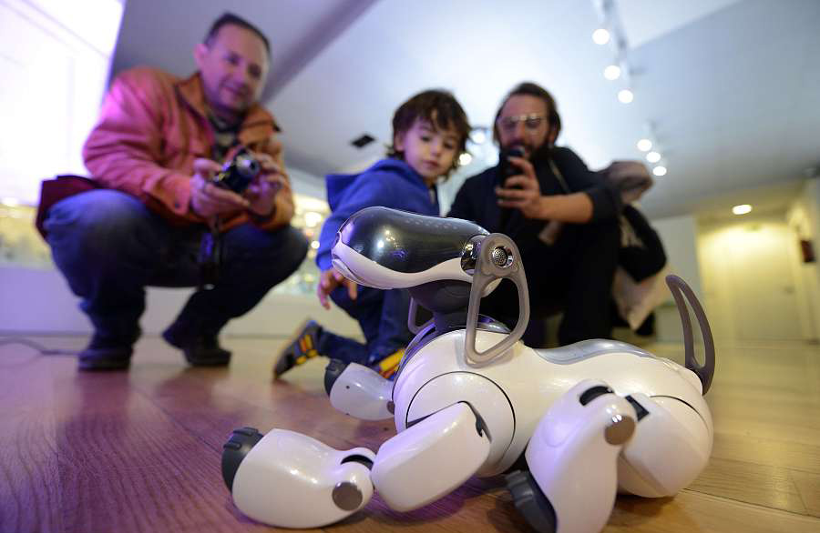 Un perro robot se exhibe en el “Museo de la Robótica” de Madrid, Espa?a, 28 de noviembre del 2013. [Foto: VCG]