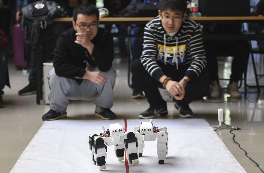 Carrera entre dos perros robots en Jinan, provincia de Shandong, 29 de octubre del 2017. [Foto: VCG]