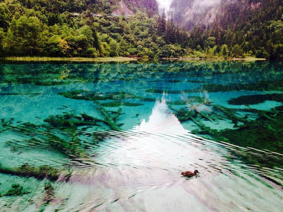 Destino turístico Patrimonio de la Humanidad en suroeste de China reanuda parcialmente visitas tras terremoto