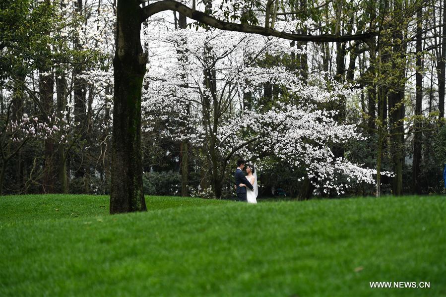 Una pareja posa bajo el encanto de un cerezo en flor en el Parque Taiziwan, Hangzhou, provincia de Zhejiang, 19 de marzo del 2018. [Foto: Xinhua]