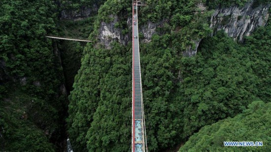 La gente camina en el puente con fondo de vidrio