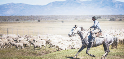 Argentina se esfuerza por revitalizar la economía rural