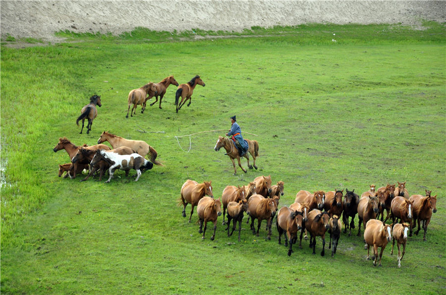 Las hermosas praderas de Hulunbuir en Mongolia Interior