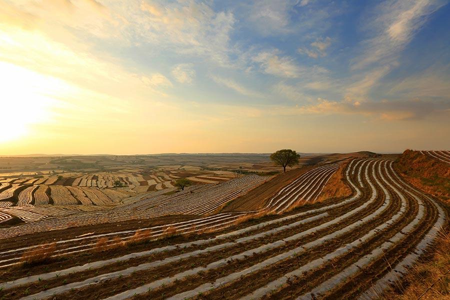 Naturales paisajes “artísticos” de Wuzhai que ensue?an el verano