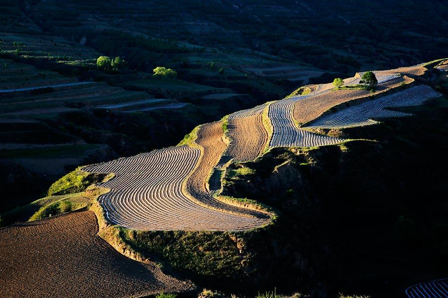 Naturales paisajes “artísticos” de Wuzhai que ensue?an el verano