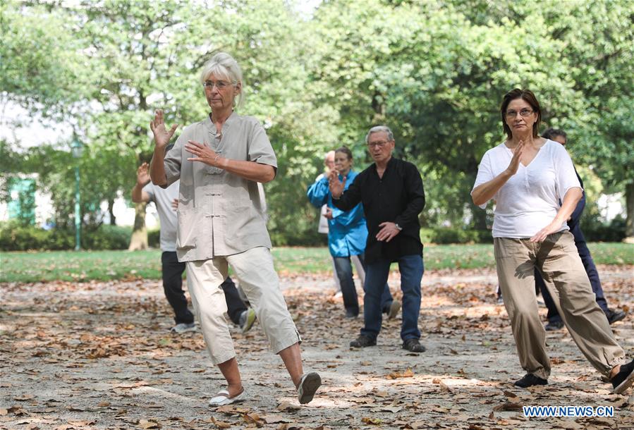 Personas aprenden Tai Chi en el Parque del Cincuentenario en Bélgica