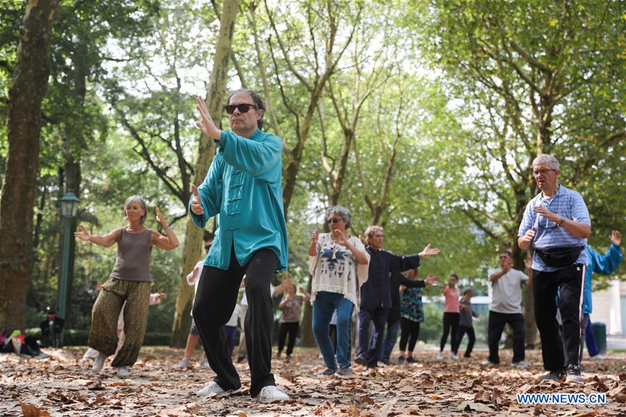 Personas aprenden Tai Chi en el Parque del Cincuentenario en Bélgica