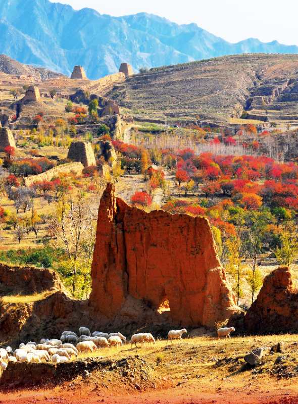 Reliquias de la Muralla de Datong. [Foto: Li Yi y Han Jianjun]