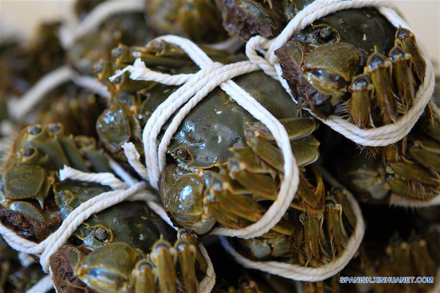 Cangrejos de del Lago Yangcheng: Un buen sabor y muchos nutrientes