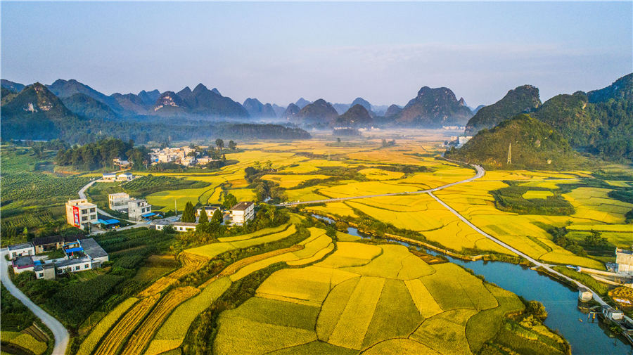 Campos de arroz de oto?o en el suroeste de China