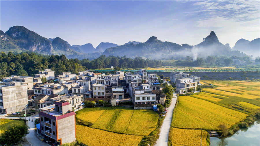 Campos de arroz de oto?o en el suroeste de China