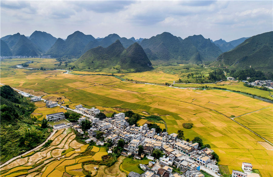 Campos de arroz de oto?o en el suroeste de China