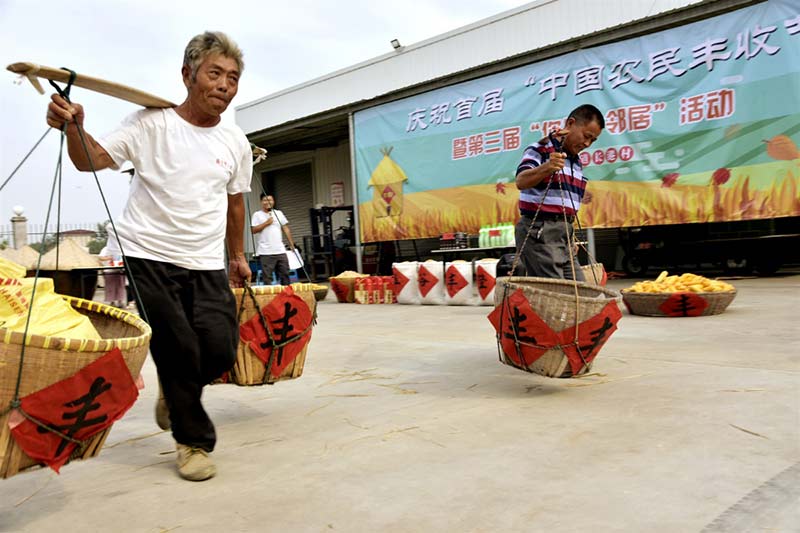 El 23 de septiembre de 2018 comenzó el equinoccio de oto?o según el calendario lunar chino y se celebró el primer Festival de la Cosecha de Agricultores Chinos. Los aldeanos de Changgang en Rucheng, ciudad de Rugao, provincia de Jiangsu, participaron en una competición de recolección de alimentos. (Wu Shujian / Diario del Pueblo)