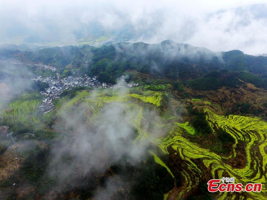 Belleza pastoral en Wuyuan