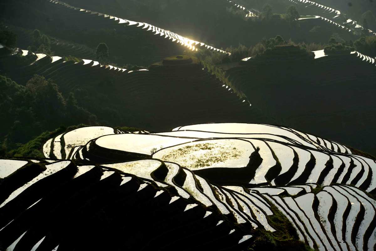 Miles de turistas disfrutan amanecer en las famosas terrazas de Longji, en Longsheng, Región Autónoma Guangxi Zhuang, 3 de junio del 2019. [Foto: Pan Zhixiang/chinadaily.com.cn]