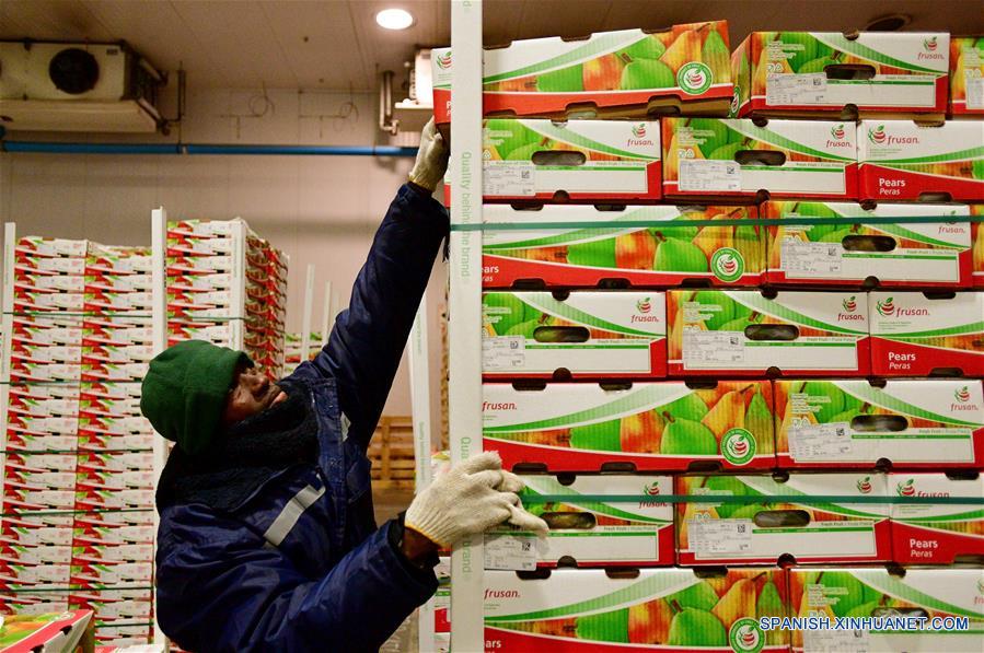 Un hombre trabaja en la Planta de Procesamiento Frusan de San Fernando, en la región de O'Higgins, a unos 140 kilómetros al sur de Santiago, capital de Chile, el 14 de junio de 2019. El ministro de Agricultura de Chile, Antonio Walker, celebró el viernes los primeros envíos de cuatro tipos de peras chilenas a China. El mercado chileno ofrece cajas desde 2 kilos, exclusivas para el mercado chino, hasta de 18 kilos, para los distribuidores de frutas. (Xinhua/Jorge Villegas)