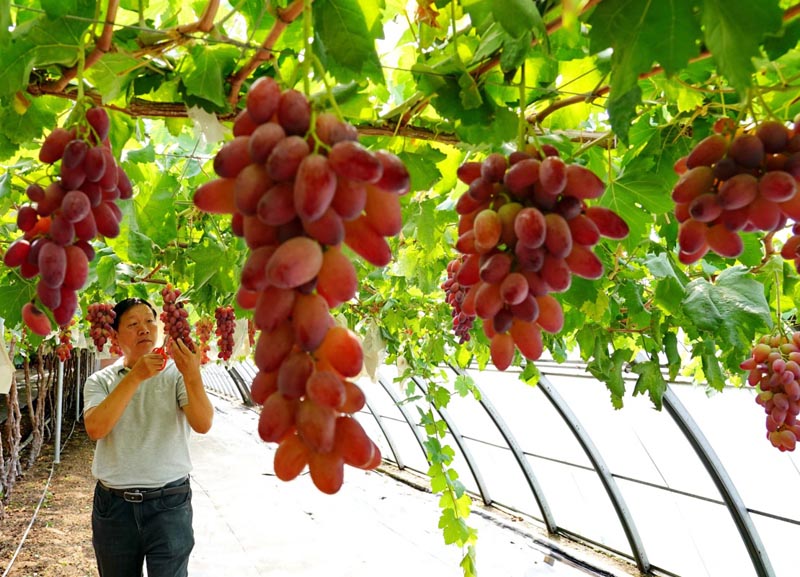 [Foto:Xinhua/Yang Shiyao]