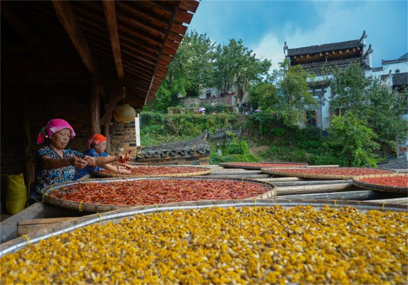 Festival Cultural en la aldea de Huangling. [Foto / Fang Huabin]