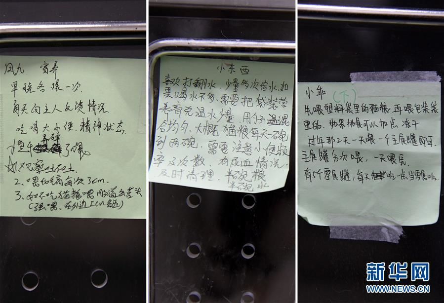 Etiquetas con una guía para el cuidado de los gatos en las puertas de las casas donde viven estos animales en el Hospital Veterinario Model. Estos consejos fueron escritos por los compa?eros de Gao Jindong o los due?os de las mascotas. Esto hace que el cuidado de los animales sea más específico para Gao Jindong. (Imagen del 24 de marzo). Foto de Li He, Agencia de Noticias Xinhua.