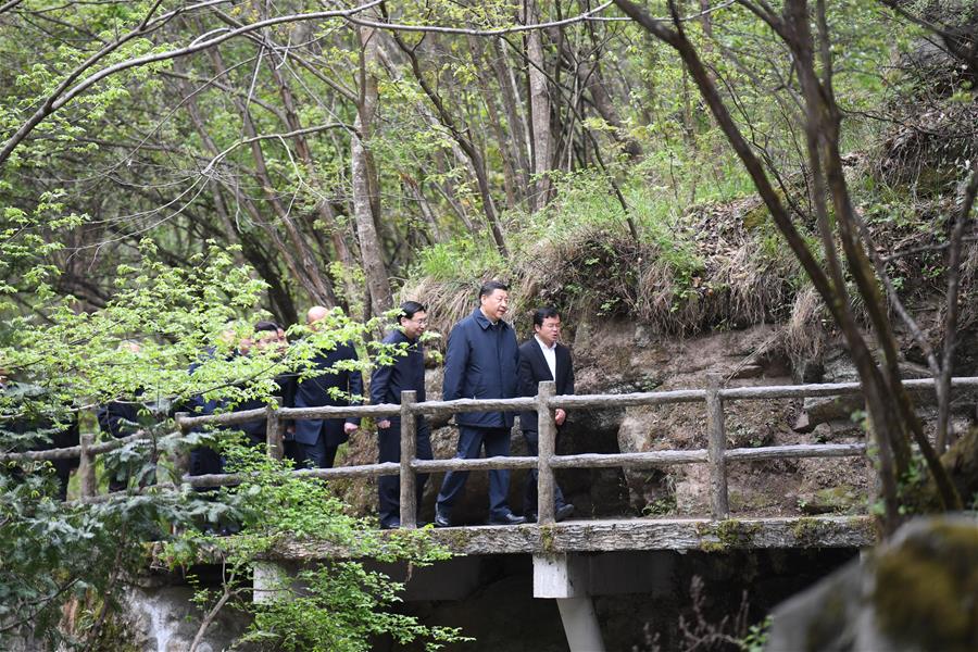 SHANGLUO, 20 abril, 2020 (Xinhua) -- El presidente chino, Xi Jinping, también secretario general del Comité Central del Partido Comunista de China y presidente de la Comisión Militar Central, inspecciona la conservación ecológica de las Monta?as Qinling en la Reserva Natural Nacional de Niubeiliang en el distrito de Zhashui, en la ciudad de Shangluo, en la provincia de Shaanxi, en el noroeste de China, el 20 de abril de 2020. (Xinhua/Zhai Jianlan)