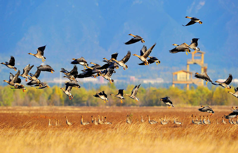 Foto: El Parque Nacional del Humedal de Yeyahu/ Por Xiao Huaimin.