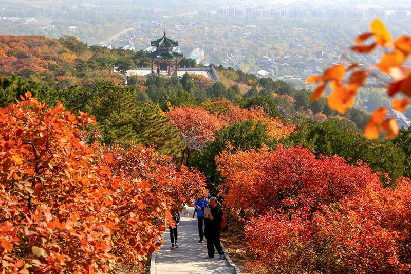 Colores cambiantes del oto?o en Beijing. [Foto: He Jianyong/ Chinadaily]