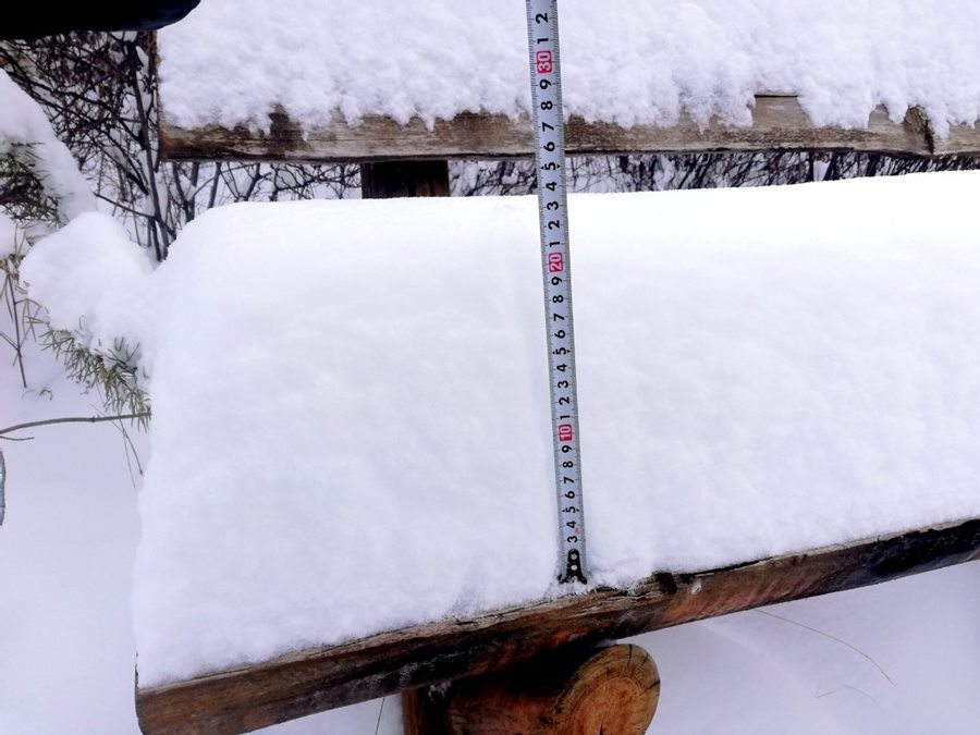 Más de 20 centímetros de nieve se acumularon desde el sábado por la ma?ana hasta el domingo por la noche en el distrito Huzhong de la región de Daxinganling, provincia de Heilongjiang. [Foto de Feng Hongwei / para chinadaily.com.cn]