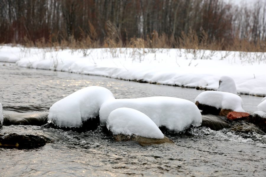 El distrito Huzhong en la región de Daxinganling, provincia de Heilongjiang, conocida como la ciudad más fría de China, recibió la mayor nevada del oto?o en el fin de semana. [Foto de Feng Hongwei / para chinadaily.com.cn]