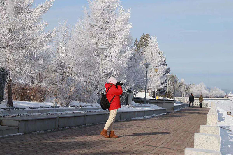 El delicado hielo de la suave escarcha en el condado Huma de la región de Daxinganling, provincia de Heilongjiang, atrae a los fotógrafos. [Foto de Wang Yabin / para chinadaily.com.cn]