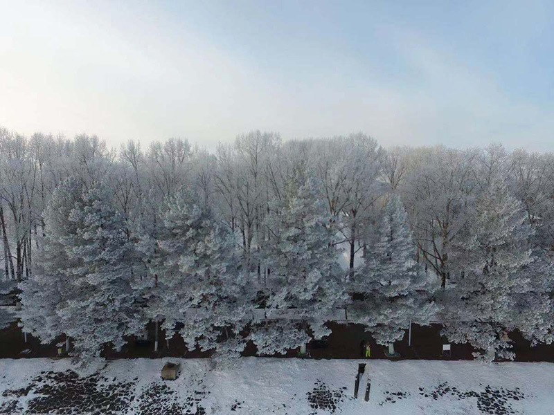 Una foto aérea muestra la escarcha suave en los árboles a lo largo del río helado Heilongjiang en el condado Huma de la región de Daxinganling, provincia de Heilongjiang. [Foto de Wang Ting / para chinadaily.com.cn]