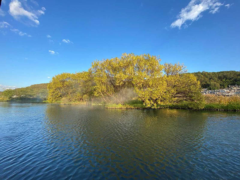 El reflejo de un árbol se funde en el resplandeciente río Xianhe, de la ciudad antigua de Heshun, provincia de Yunnan, 7 de diciembre del 2020. (Foto: Pueblo en Línea/ Meng Bin)