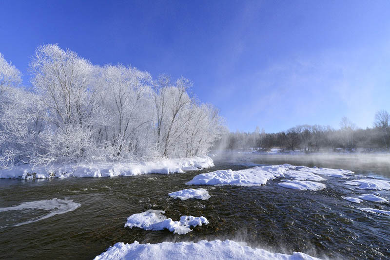 Las temperaturas caen por debajo de -20 grados centígrados en el condado Xunke, provincia de Heilongjiang, congelándolo todo a lo largo del río Kurbin. [Foto: Wang Dianjie/ China Daily]