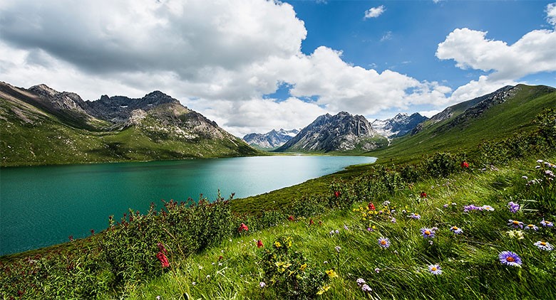 Con cielos azules, vegetación frondosa y agua cristalina, el Parque Nacional de Sanjiangyuan es un lugar pintoresco. (Foto proporcionada por la Oficina de Gestión del Parque Nacional de Sanjiangyuan)