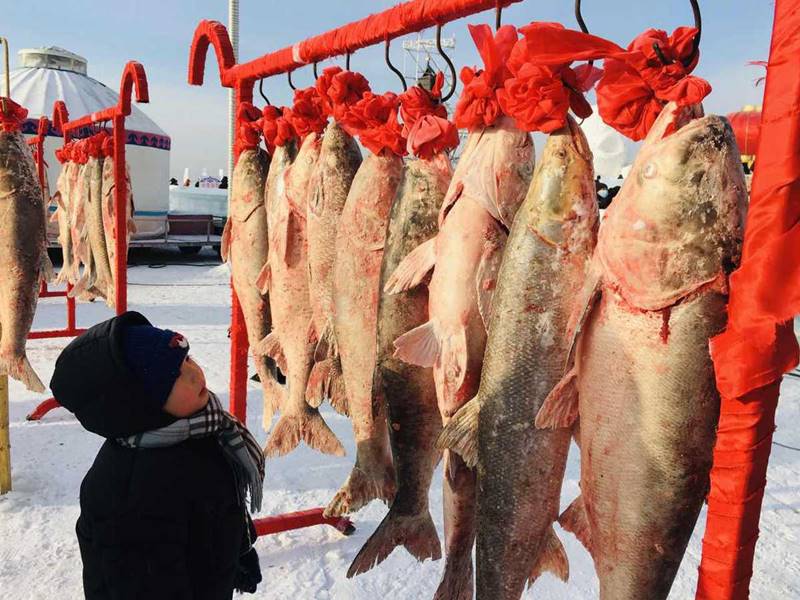 Un ni?o observa los pescados congelados durante la ceremonia de apertura del 19 Festival de Turismo Cultural de Pesca y Caza del Lago Chagan, inaugurado este lunes en Songyuan, provincia de Jilin. [Foto: Han Junhong/ China Daily]