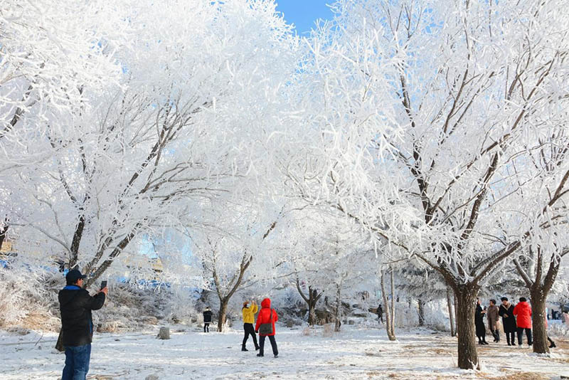 El 29 de noviembre de 2020, los turistas disfrutaron de la escarcha en el borde del lago Songhua en la ciudad de Jilin, provincia de Jilin, noreste de China. (Wang Mingming / Pueblo en Línea)