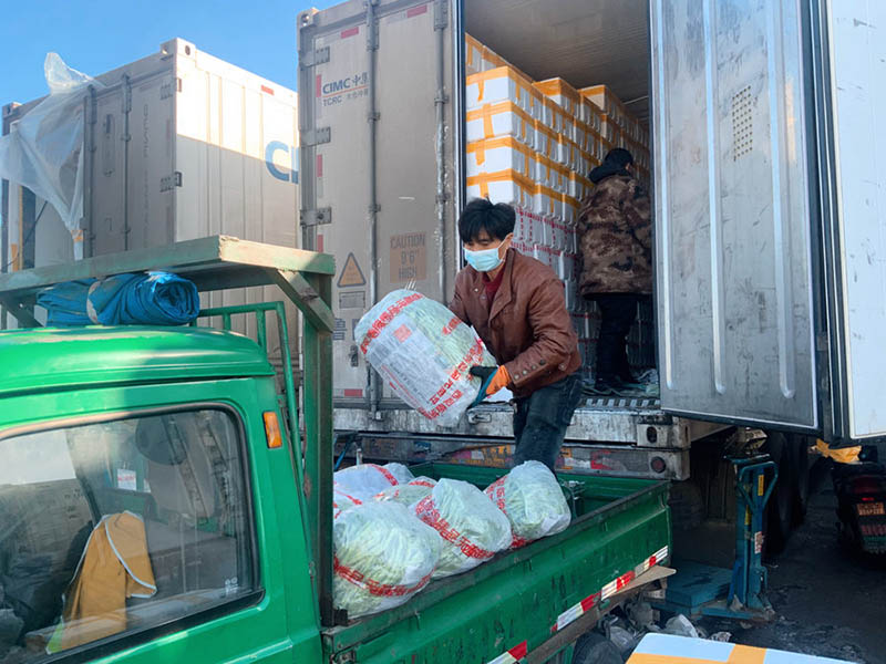 Los vendedores cargan judías verdes, una verdura que se ve comúnmente en las mesas de las familias chinas durante la temporada de invierno. (Pueblo en Línea / Kou Jie)