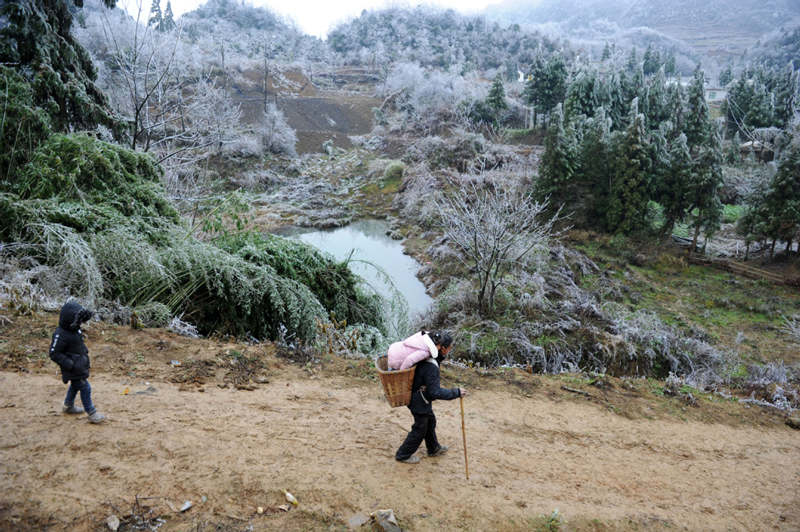 Li Changde carga a Li Qingyi a sus espaldas mientras Li Siyu le sigue por el camino hacia la escuela en una fría ma?ana de invierno, aldea Hetou, Dafang, Guizhou, 13 de diciembre del 2018.