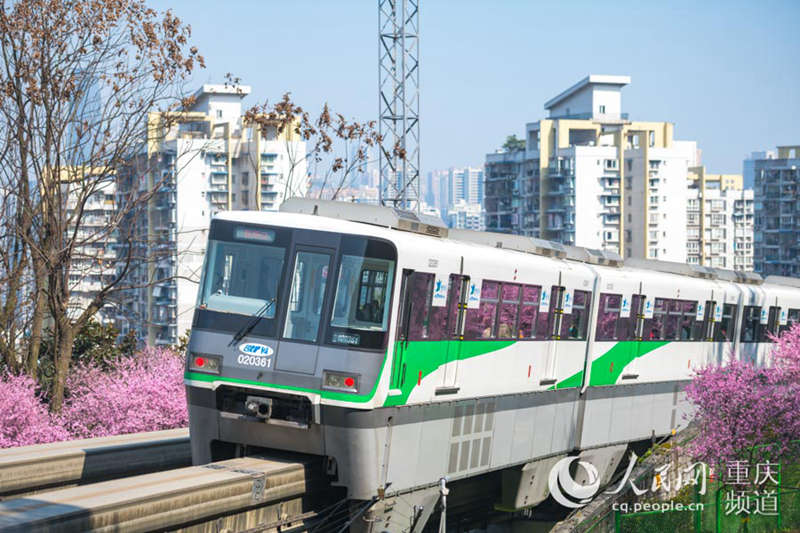 Los trenes circulan rodeados de flores de primavera en Chongqing