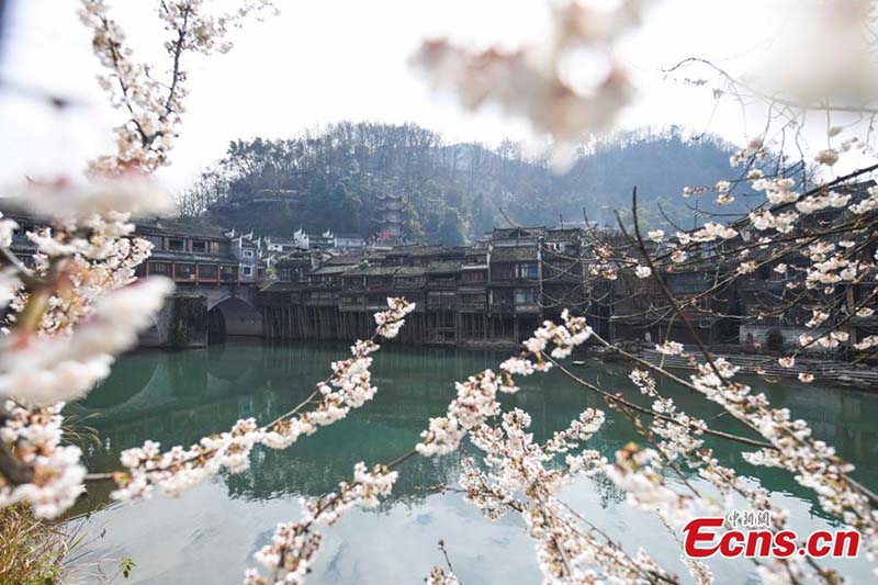 Foto tomada el 16 de febrero de 2021 muestra una hermosa vista de la aldea de Fenghuang en la prefectura autónoma Tujia y Miao de Xiangxi, provincia de Hunan en China (Foto: Servicio de Noticias de China / Yang Huafeng).