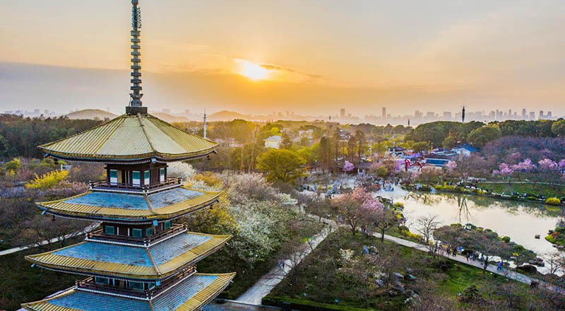 Foto tomada el 4 de marzo de 2021, muestra un jardín de cerezos en flor en el área escénica de Lago Este en Wuhan, capital de la provincia de Hubei, en el centro de China. (Pueblo en Línea / Zhao Guangliang)