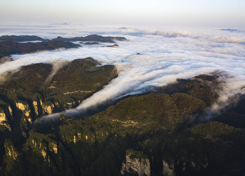 Parque de Zhangjiajie, provincia de Hunan, que ostenta la condición de Patrimonio Natural de la Humanidad, es el primer parque forestal nacional de China. [Foto: Zhou Jianxin/ China Daily]