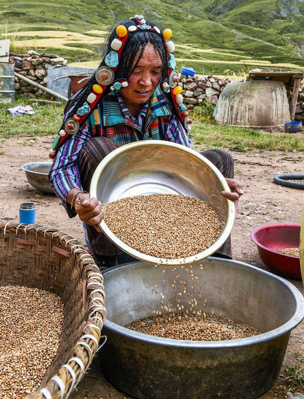 Los tibetanos en la aldea de Bagan, Changdu, Tíbet, se preparan para secar las cosechas recientes. Foto: Peng Huan, Pueblo en Línea