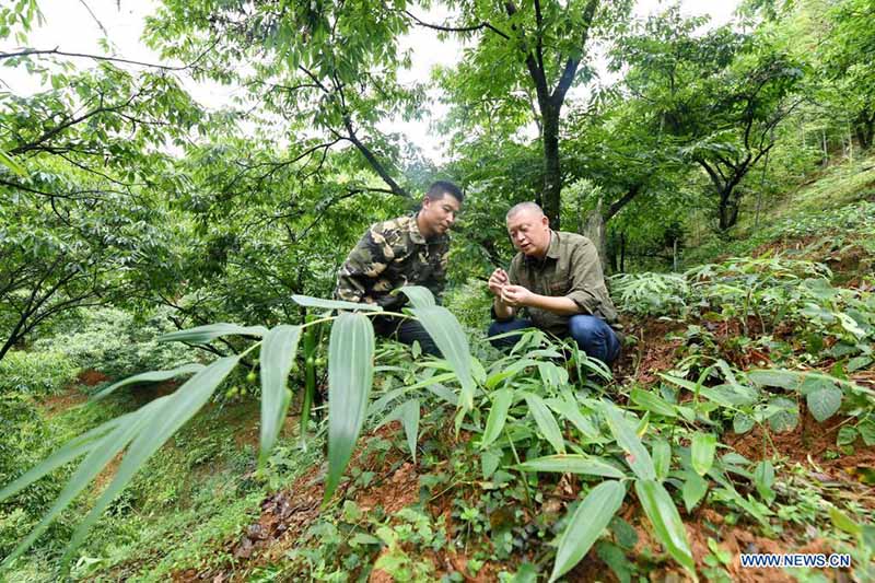 Expertos en ciencia y tecnología trabajan para impulsar la economía rural