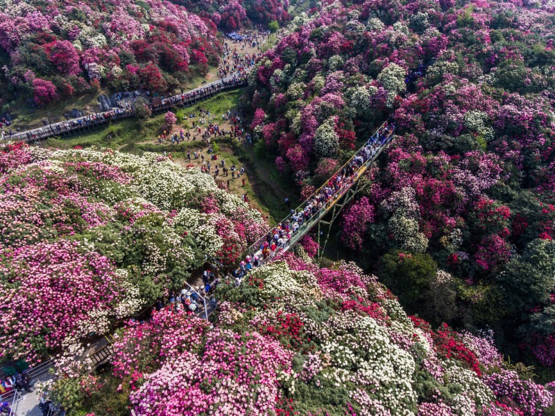 Los turistas pasean en la ciudad de Bijie, provincia de Guizhou. Foto: Luo Dafu / Pueblo en Línea