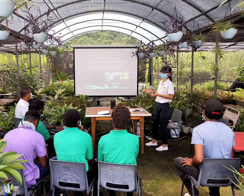 Expertos chinos ense?an conocimientos agrícolas modernos a jóvenes de la República Dominicana bajo una enramada florecida (Foto: cortesía del Grupo de Expertos Agrícolas de la Ayuda China a la República Dominicana)