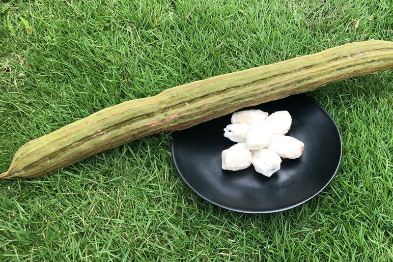 La foto muestra frijoles helados cosechados en la base de plantación de árboles de frutas tropicales en Qionghai, provincia de Hainan, en el sur de China. (Foto cortesía de la base de plantación de árboles frutales tropicales)