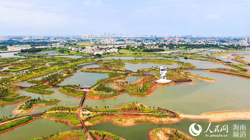 Peque?as islas dispersas alrededor del humedal del río Maiya en el nuevo distrito Jiangdong de Haikou, provincia de Hainan. (Foto: Pueblo en Línea/ Niu Liangyu)