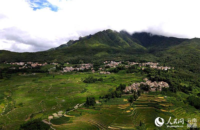 La foto muestra los campos en terrazas Hani en la monta?a Wuzhishan, el condado Yuanyang de la prefectura autónoma Yi y Hani de Honghe, en la provincia de Yunnan, en el suroeste de China. (Foto / Luo Jianguo)