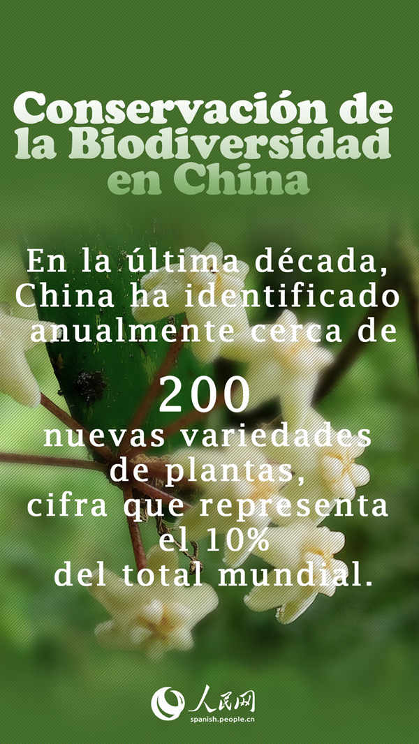 Conservación de la Biodiversidad en China